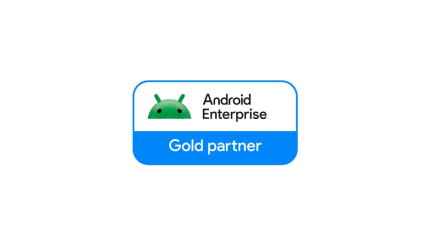 Partner na poziomie Google Gold